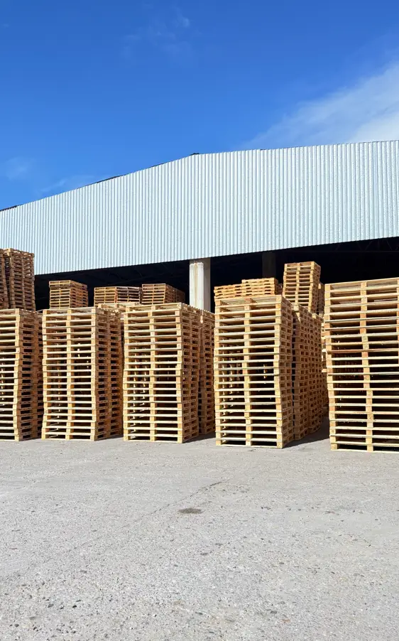 Pallets organizados afuera del galpón, listos para cargar